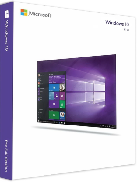 Windows 10 Professional