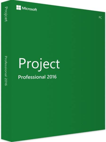 Project 2016 Professional