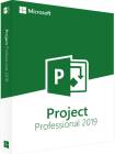 Project 2019 Professional (Custom)